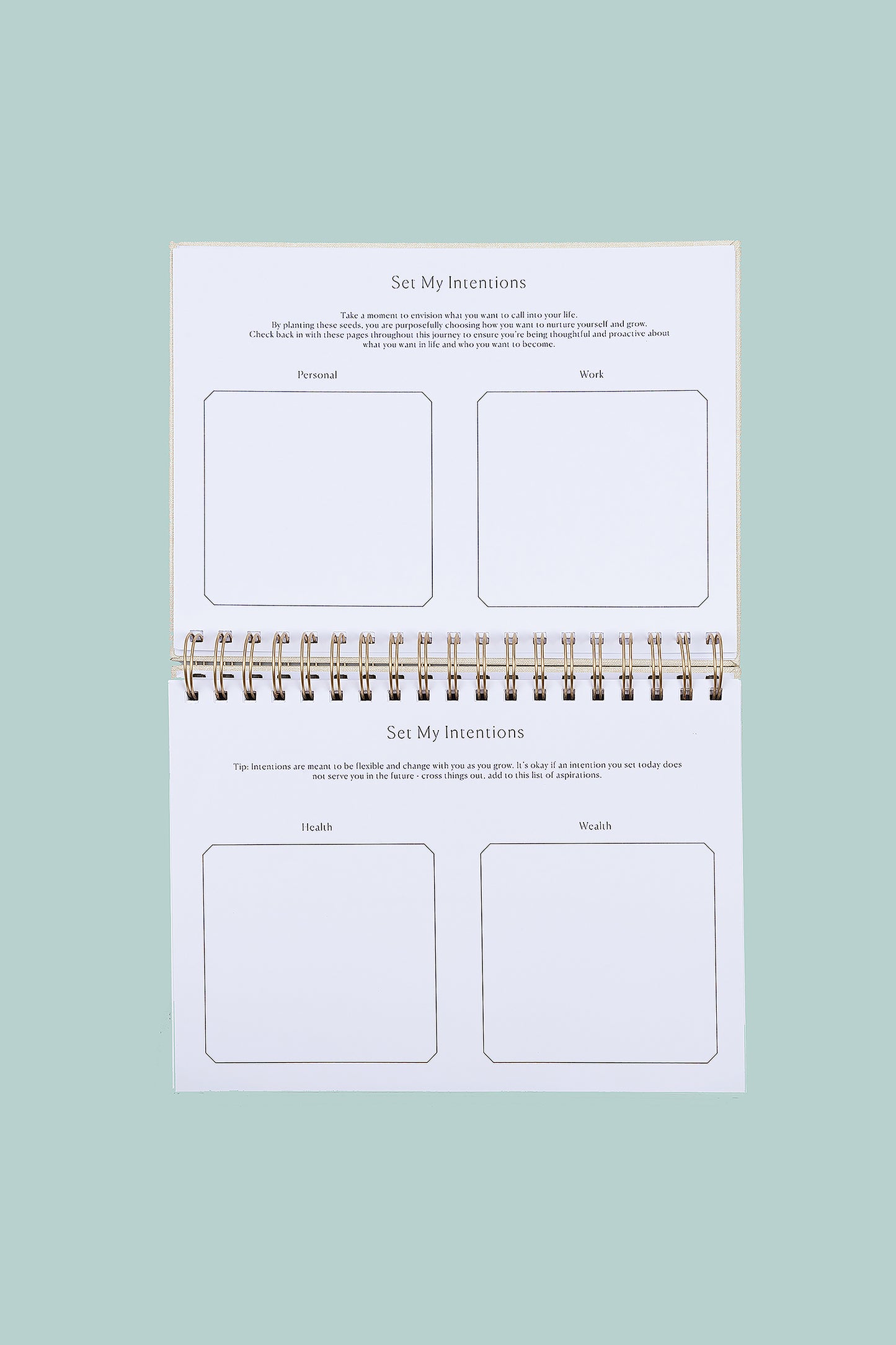 The Daily Journal